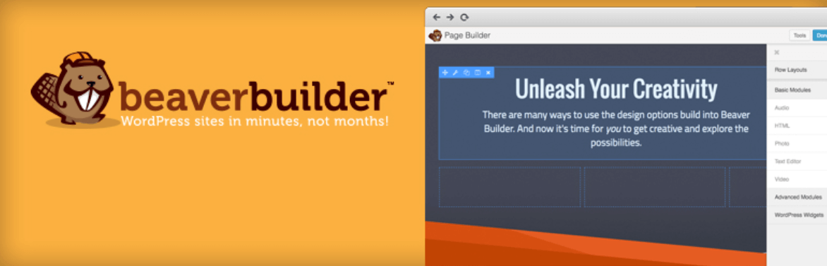 beaver builder plugin