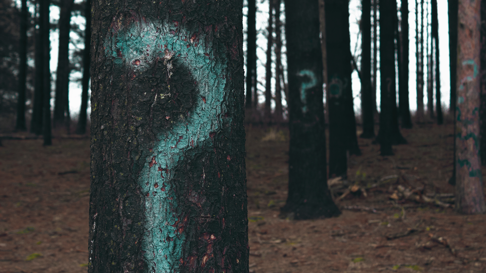 Web Design Questionnaire: Do you have an existing style guide?